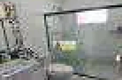 Cobertura com 3 dormitórios à venda, 200 m² por r$ 1.350.000,00 - santana - são paulo/sp