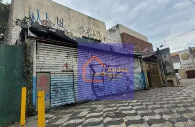 Prédio para alugar na Avenida Engenheiro Caetano Álvares, Mandaqui, São Paulo
