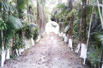Área no litoral do paraná - guaraguaçú a 07 km do balneário praia leste