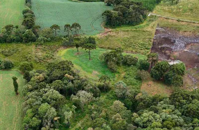 Chácara / sítio à venda na Área Rural de Guarapuava, Guarapuava 