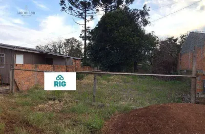 Terreno à venda, 150 m² por r$ 70.000,00 - vila carli - guarapuava/pr