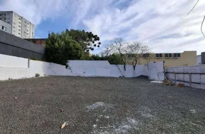 Terreno para alugar, 550 m² por r$ 2.000,00/mês - centro - guarapuava/pr