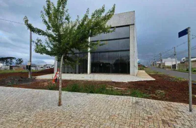 Barracão para alugar, 300 m² por r$ 9.000,00/mês - alto cascavel - guarapuava/pr