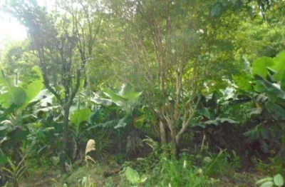 Terreno à venda na Vila Luso, Presidente Prudente 