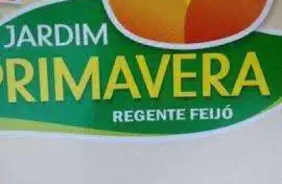 Terreno à venda no Jardim Primavera, Regente Feijó 