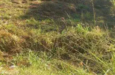 Terreno à venda no Jardim Barcelona, Presidente Prudente 