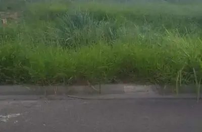 Terreno para venda em presidente prudente, alta vista