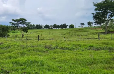 Chácara para venda em alfredo marcondes, chácara alfredo marcondes