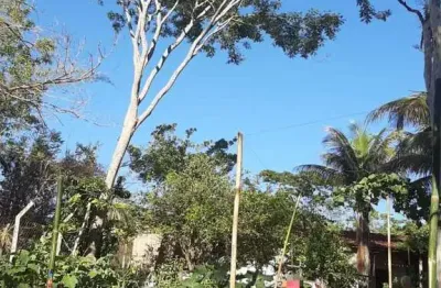 Chácara para venda em presidente prudente, chacara paraiso, 2 dormitórios, 2 banheiros, 3 vagas