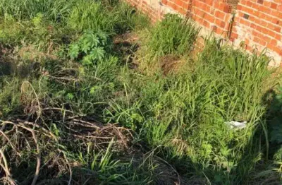 Terreno para venda em presidente prudente, residencial bongiovani