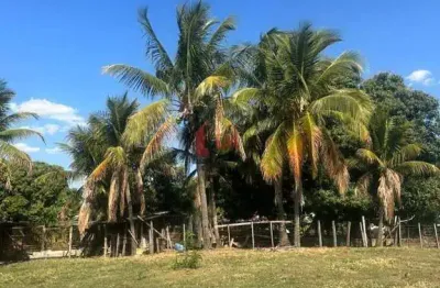 Chácara para venda em pirapozinho, chacara em pirapozinho, 3 dormitórios, 1 banheiro, 1 vaga