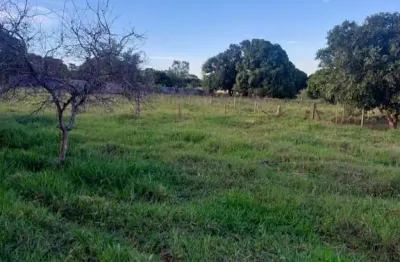 Chácara / sítio à venda na Zona Rural, Regente Feijó 