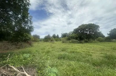 Chácara / sítio à venda na Zona Rural, Regente Feijó 