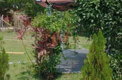 Chácara para venda em alfredo marcondes, chacara em alfredo marcondes, 3 dormitórios, 1 suíte, 3 banheiros, 5 vagas