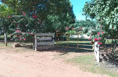 Casa com 2 quartos à venda na Br 262 Km 418 A Diri 10 Kms, s/n, Zona Rural, Terenos