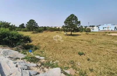 Terreno  no rio vermelho - florianópolis  a venda r$ 13.000.000,00