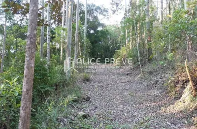 Terreno à venda na Próximo Ao Sítio Marcos E Amigos, Rio Do Poncho, Centro, São Bonifácio