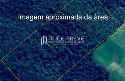 Terreno à venda no Centro, São Bonifácio 