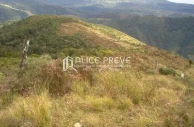 Terreno à venda no Centro, Anitápolis 