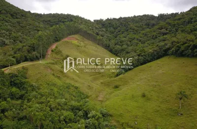 Excelente oportunidade de investimento! terreno com área total de 12