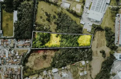 Chácara / sítio com 6 quartos à venda na Roseira de São Sebastião, São José dos Pinhais 