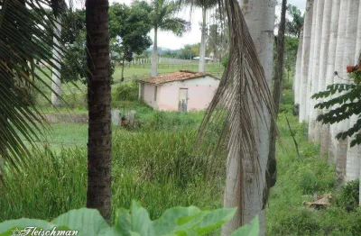Terreno à venda, 2 m² por r$ 360.000,00 - gravatá centro - gravatá/pe