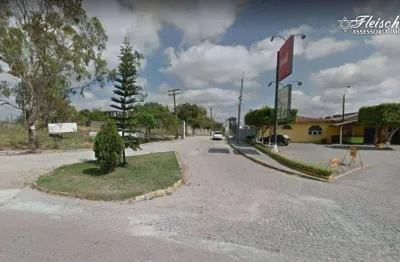 Terreno à venda, 2000 m² por r$ 250.000,00 - novo gravatá - gravatá/pe