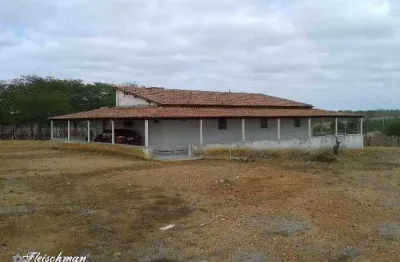 Fazenda com 3 dormitórios à venda, 1771000 m² por R$ 900.000 - Zona Rural - Sertânia/PE