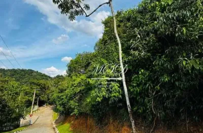 Terreno à venda, 2062 m² por r$ 380.000 - chácaras condomínio recanto pássaros ii - jacareí/sp