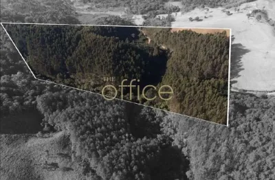 Extenso terreno à venda em campo alegre, 80509 m² - zona rural/sc-280