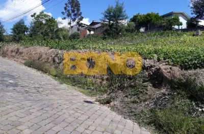 Terreno à venda no desvio rizzo, caxias do sul  por r$ 1.500.000