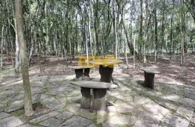 Chácara / sítio para alugar no linha 40, caxias do sul  por r$ 8.000