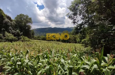 Chácara / sítio à venda no Galópolis, Caxias do Sul  por R$ 150.000