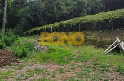 Terreno à venda no monte bérico, caxias do sul  por r$ 3.500.000