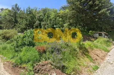 Terreno à venda em reolon, caxias do sul  por r$ 180.000