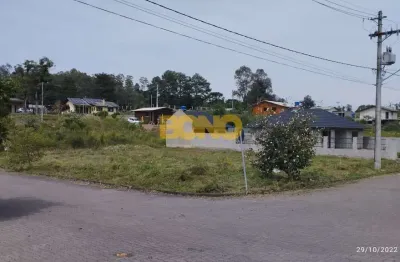 Terreno comercial para alugar no são caetano, caxias do sul  por r$ 1.000