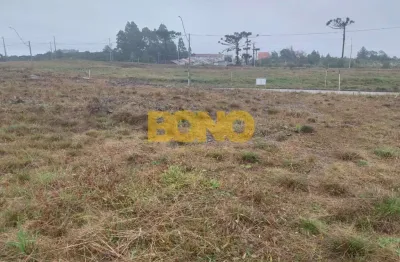 Terreno à venda no desvio rizzo, caxias do sul  por r$ 243.800