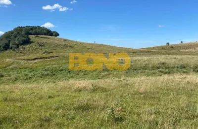 Chácara / sítio à venda na zona rural, caxias do sul , 20000 m2 por r$ 265.000