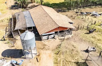 Fazenda de 23,5 alqueires a 8 km de Heitoraí e 140 km de Goiânia
