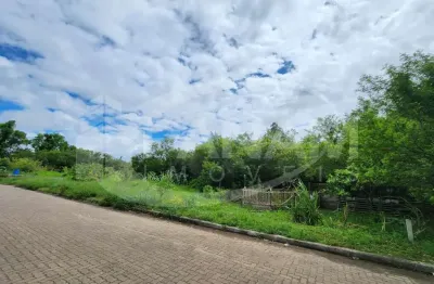 Terreno à venda na rua ary dias dhil, passo do feijó, alvorada por r$ 3.500.000