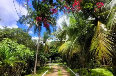 Chácara / sítio com 3 quartos à venda na Rodovia Rn-313, 141, Alcaçuz, Nísia Floresta