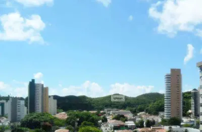 Venda de ap amplo no tirol com 4 suítes, ótima localização com vista panorâmica.