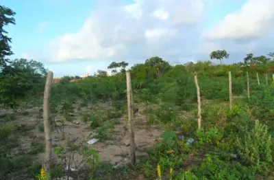 Terreno para vender, cond. parque das árvores, com área de 1.000 m².