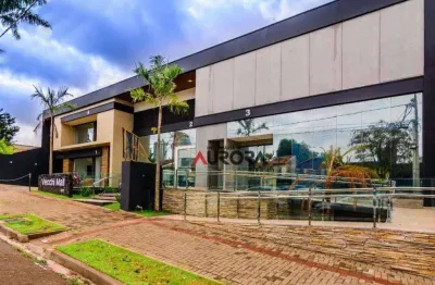 Sala para alugar, 380 m² por r$ 13.900,00/mês - ipanema - londrina/pr
