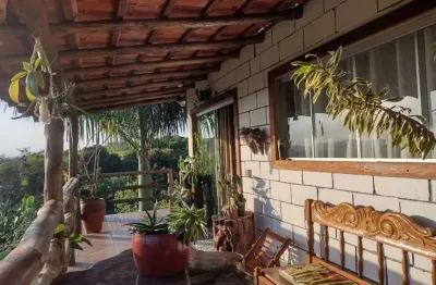 Chácara à venda, balneario tibagi, jataizinho,pr, com 1.500m², r$ 399.900,00, com 32 espécies de frutas produzindo