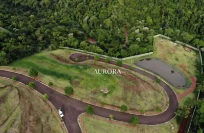 Terreno à venda, 1400 m² por r$ 3.500.000 - the euro royal residence & resort - londrina/pr