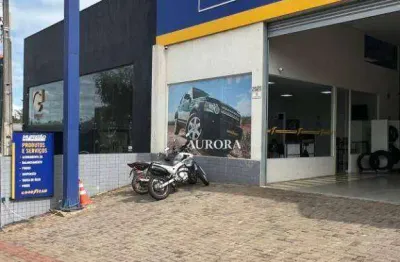 Loja para alugar, 400 m² por r$ 15.000,00/mês - jardim higienópolis - londrina/pr