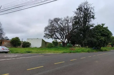 Terreno à venda, 1027 m² por r$ 890.000,00 - conjunto habitacional maria cecília serrano de oliveira - londrina/pr