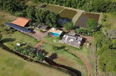 Chácara com 6 dormitórios à venda, 15000 m² por r$ 1.950.000,00 - recanto rancho ringo - cambé/pr