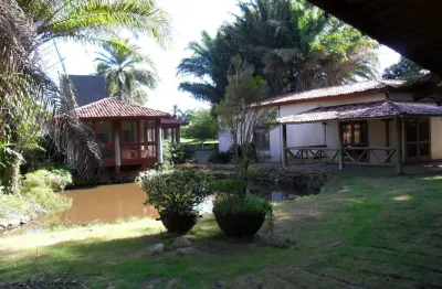 Vende se sítio em Abrantes com excelente localização, perto da Estrada Coco